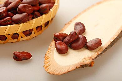 《彩虹六号：围攻》干员Thorn故事预告 11月30日上线